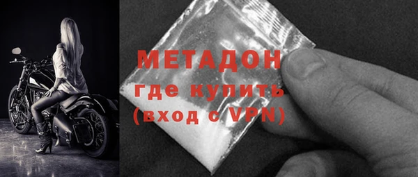 гашик Алексин