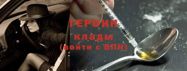 гашик Алексин