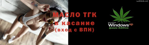 гашик Алексин