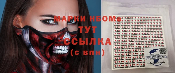 гашик Алексин