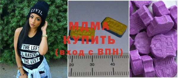 гашик Алексин
