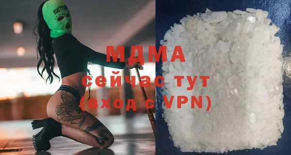 гашик Алексин